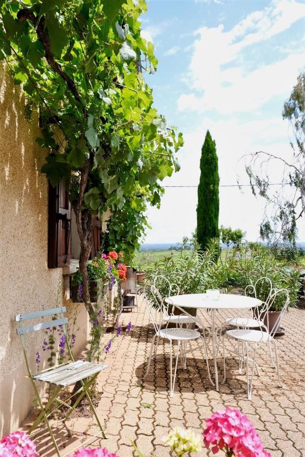Bed and Breakfast Domaine des Marrans à Fleurie Extérieur photo