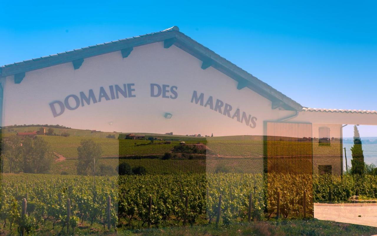 Bed and Breakfast Domaine des Marrans à Fleurie Extérieur photo